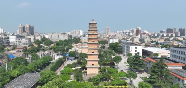 蒲城縣政協委員：多方協作促養老