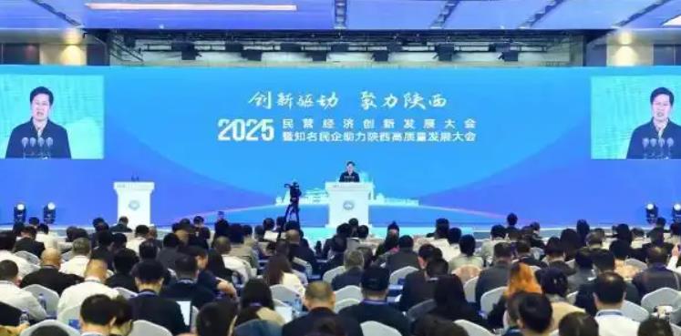2025民營經濟創新發展大會舉行